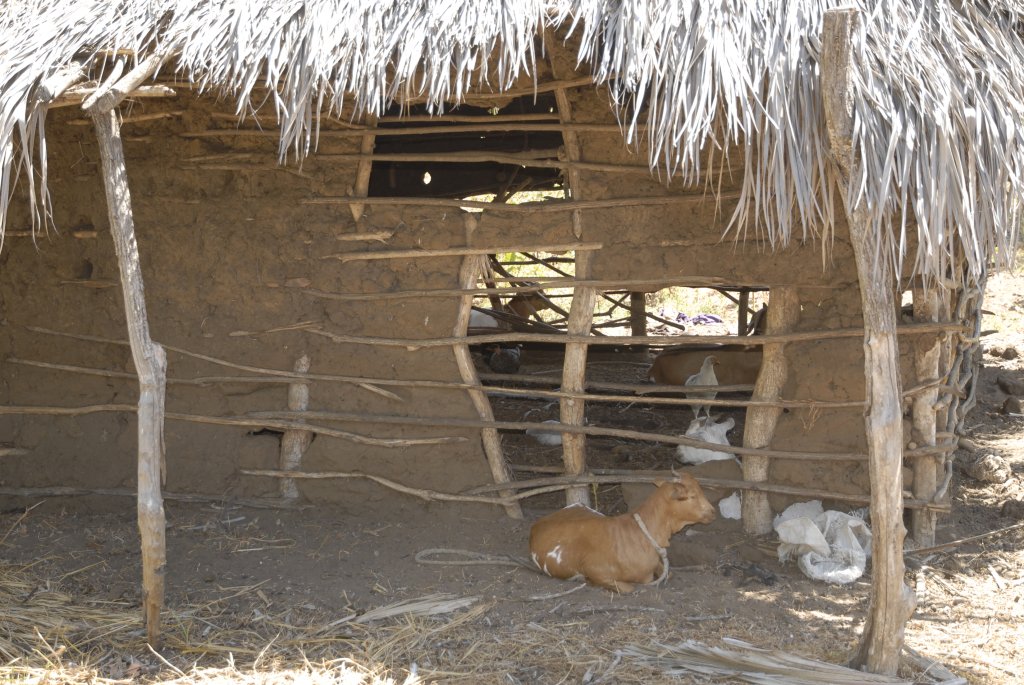 Als Viehstall dienender Teil des Geb&auml;udes.