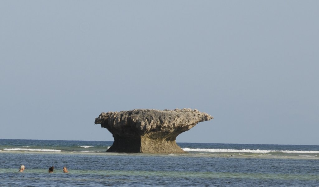 Remnant of an ancient coral reef near Watamu.