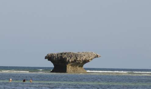 Remnant of an ancient coral reef near Watamu.