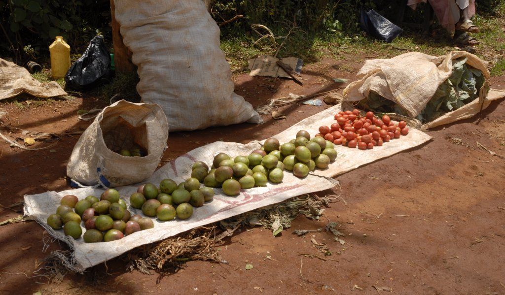Sale of agricultural products (mangoes, red tomatoes, cabbages, etc.) at a village roadside in the highlands (Aberdares, height above sea level: approximately 7000 feet).