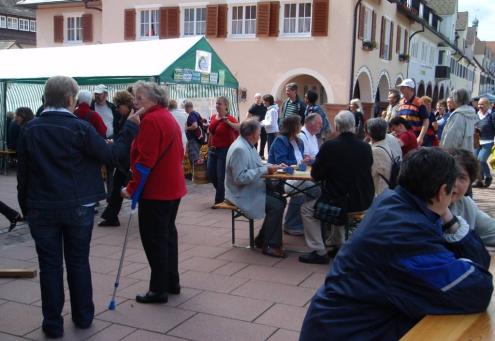 Numerous individuals were visiting the society's information stand, often entering into lively discussions with our members.
