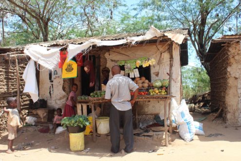 Ladengesch&auml;ft an der Stra&szlig;e nach Marafa.