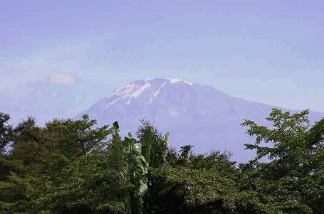 Blick zum Kilimanjaro.
